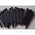 Wooden Polished Common Iron Nails 1 Inch